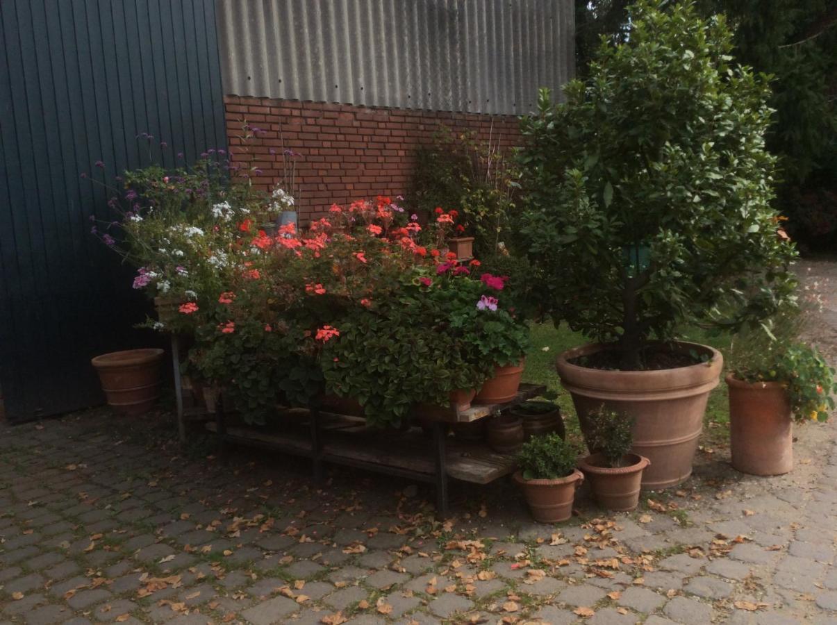 Ferienwohnung Haumannshof Xanten Dış mekan fotoğraf